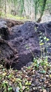 Large hole in Pelaw Woods